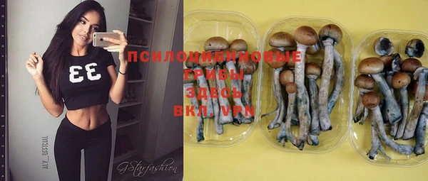 амф Фурманов