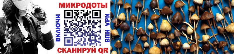 Купить закладки  Приволжск  Псилоцибиновые грибы Cubensis 